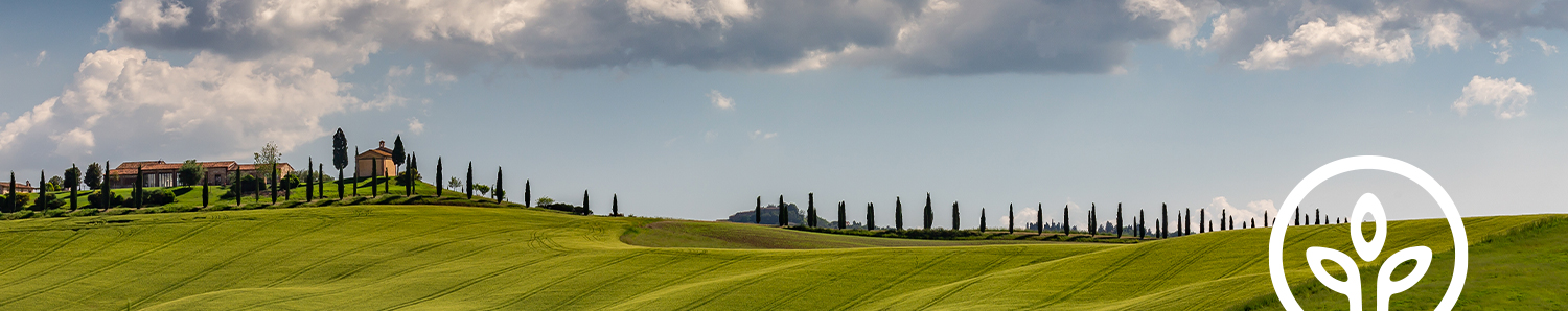 flyRen Italy