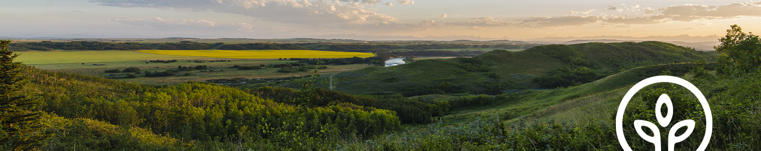 flyRen Moldova